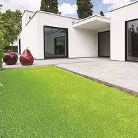 Artificial grass lawn outside modern designed house. 