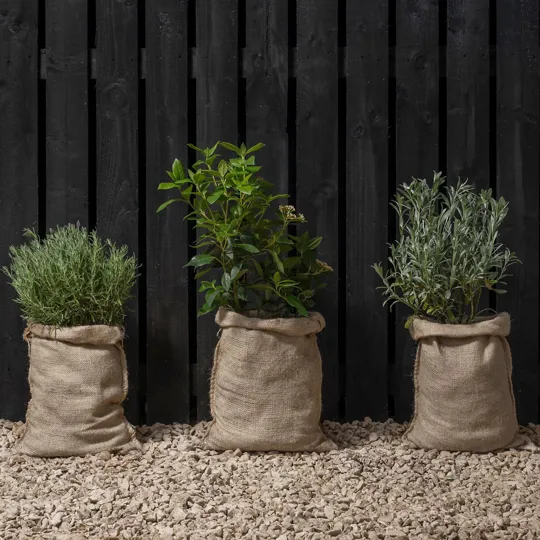 Ronseal Fence Life + Tudor Black Oak 5ltr