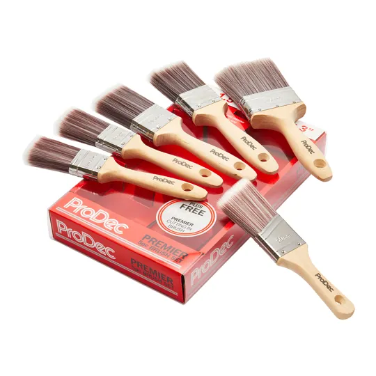 Rodo PBPT049 6 PCE Premier Synthetic Paint Brush Set