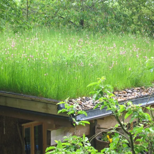 Wildflower Turf - Garden Roof - per roll approx 0.64m�