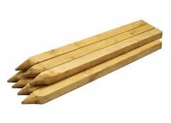 Treated Timber Setting Out Pegs, 47 x 50 x 1200mm