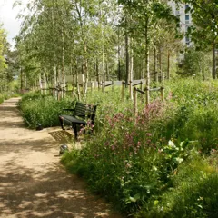 Shade Tolerant Wildflower Turf, 0.64m² per Roll