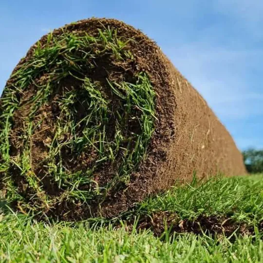 Medallion Turf - per roll approx 1m2 (40 rolls)