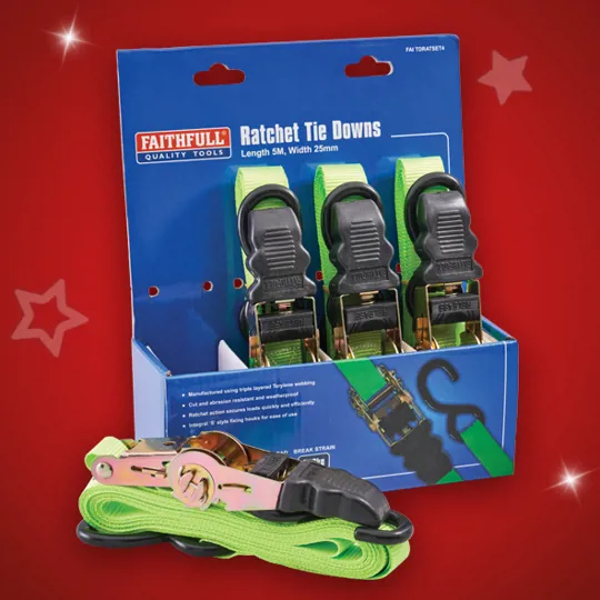 Faithfull 4 Piece Ratchet Tie Down Set (XMS24)