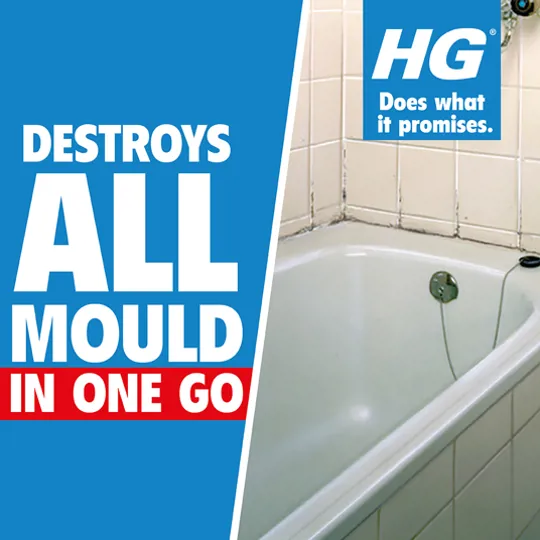HG Mould Remover Spray 500ml