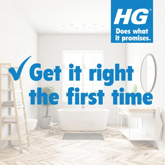 HG Mould Remover Spray 500ml